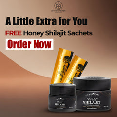Buy 30g Shilajit in Pakistan β Chitral House Premium Himalayan Resin