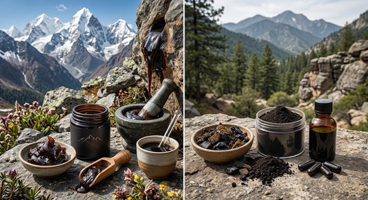 Himalayan Shilajit vs Other Shilajit: What's the Difference?