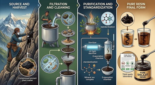 What Makes Shilajit Resin Pure?