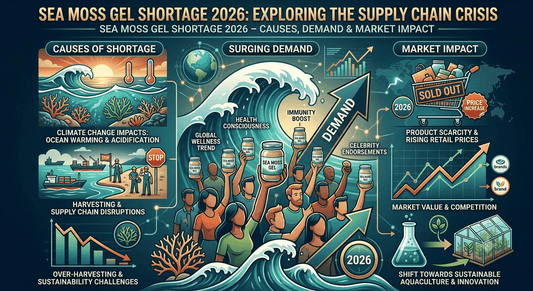 Sea Moss Gel Shortage 2026 – Causes, Demand & Market Impact