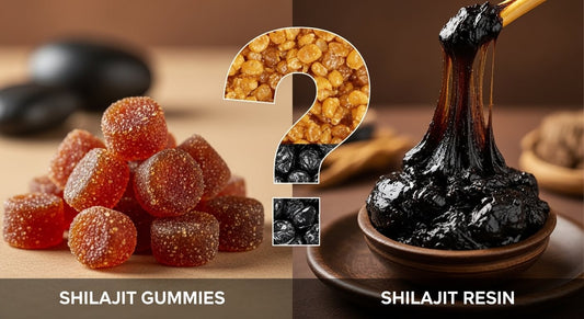 Shilajit Gummies vs Resin