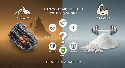 Can You Take Shilajit With Creatine? Benefits & Safety