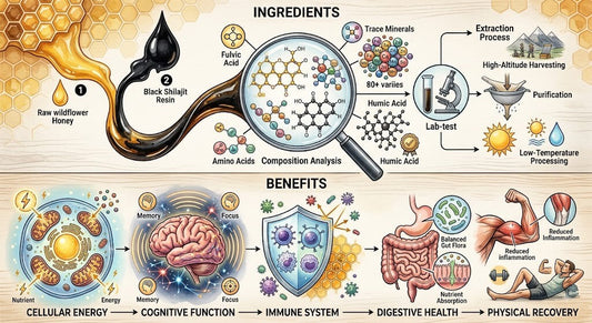 Black Lotus Shilajit Raw Honey Review: Ingredients and Benefits