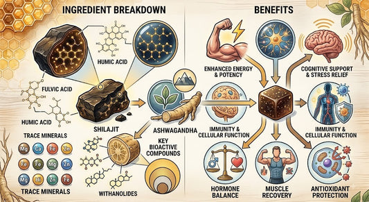 Shilajit and Sea Moss Gummies: Benefits, Ingredients and Daily UseShilajit and Sea Moss Gummies: Benefits, Ingredients and Daily Use