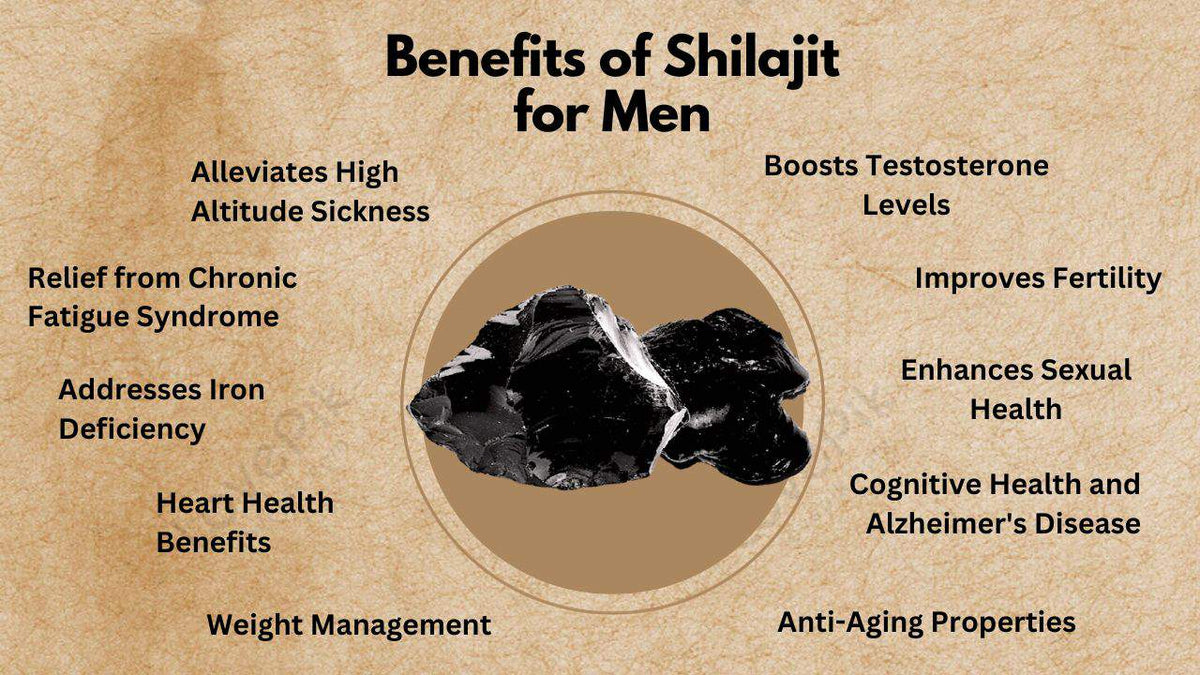 Top Benefits of Pure Himalayan Shilajit for Men in Pakistan