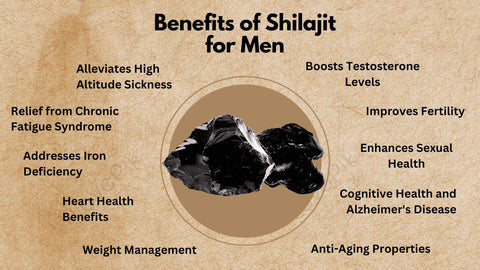 Top Benefits of Pure Himalayan Shilajit for Men in Pakistan