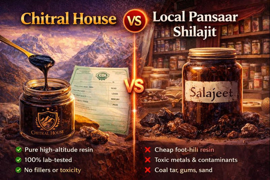 Why Our Shilajit is More Potent Than the Generic Brands Found in Pansaar Shops