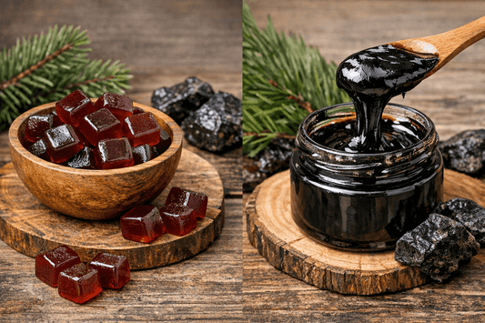 Shilajit Gummies vs Resin – Which Form Works Best? 
