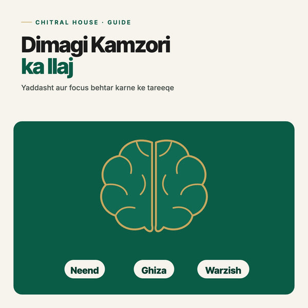 Dimagi Kamzori Ka Ilaj: Yaddasht Aur Focus Behtar Karne Ke Tareeqe