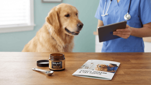 Shilajit for Dogs: Safety, Dosage & Vet Advice