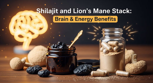 Shilajit and Lion’s Mane Stack: Brain & Energy Benefits