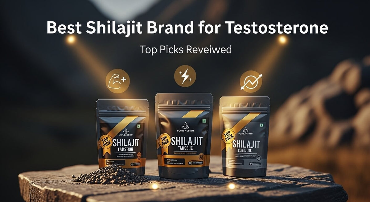 Best Shilajit Brand for Testosterone: Top Picks Reviewed