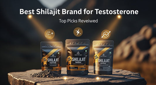 Best Shilajit Brand for Testosterone: Top Picks Reviewed