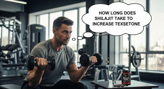 how long does shilajit take to increase testosterone