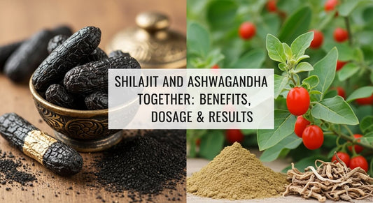 Shilajit and Ashwagandha Together: Benefits, Dosage & Results