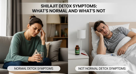 Shilajit Detox Symptoms: What’s Normal and What’s Not