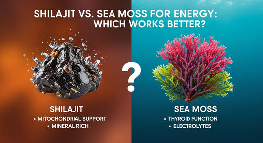 Shilajit vs Sea Moss for Energy: Which Works Better?