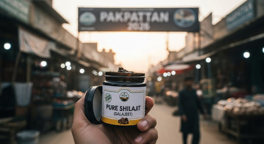Where to Buy Pure Shilajit (Salajeet) in Pakpattan 2026 – High-Quality & Verified Vendors