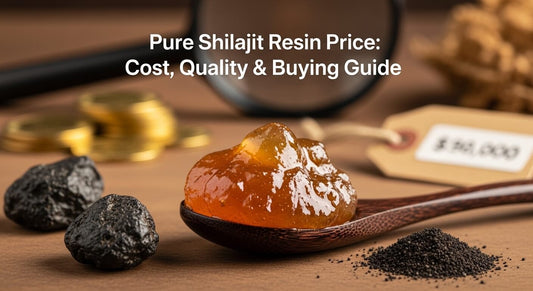 Pure Shilajit Resin Price: Cost, Quality & Buying Guide
