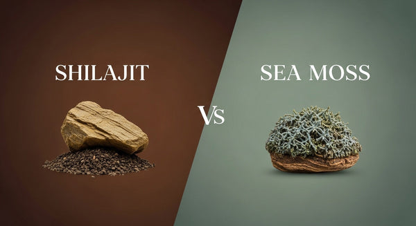 Shilajit and Sea Moss Benefits: Energy, Immunity & Minerals