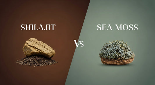 Shilajit and Sea Moss Benefits: Energy, Immunity & Minerals