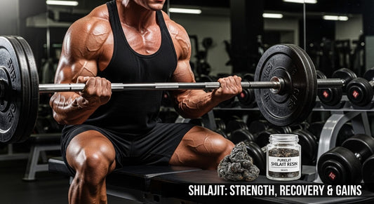 Shilajit Use for Bodybuilding: Strength, Recovery & Gains
