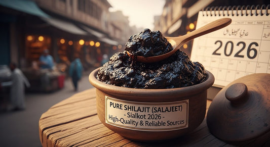 Where to Buy Pure Shilajit (Salajeet) in Sialkot 2026 – High-Quality & Reliable Sources