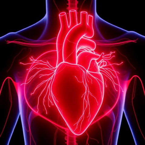 How to Improve Heart Health Naturally for a Stronger Future