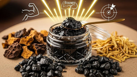 Looking for the Best Shilajit for Men’s Vitality? Here is the Top-Rated Brand