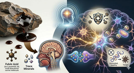 Shilajit Benefits for Mental Clarity Study – Brain Health Research Explained