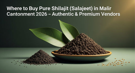 Where to Buy Pure Shilajit (Salajeet) in Malir Cantonment 2026 – Authentic & Premium Vendors