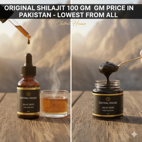 Original Shilajit 100 gm Price In Pakistan - Lowest From All