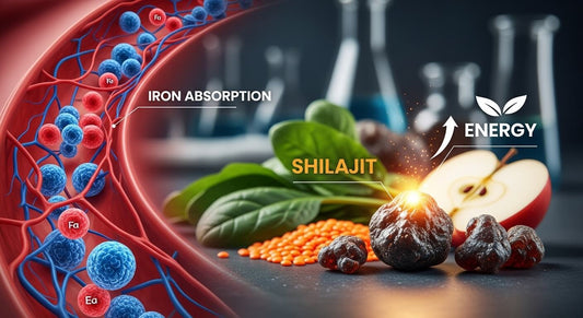 Shilajit for Anemia: Iron Absorption & Energy
