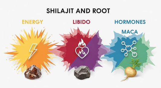 Shilajit and Maca Root Benefits: Energy, Libido & Hormones