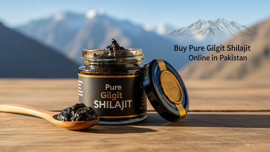 Buy Pure Gilgit Shilajit Online in Pakistan