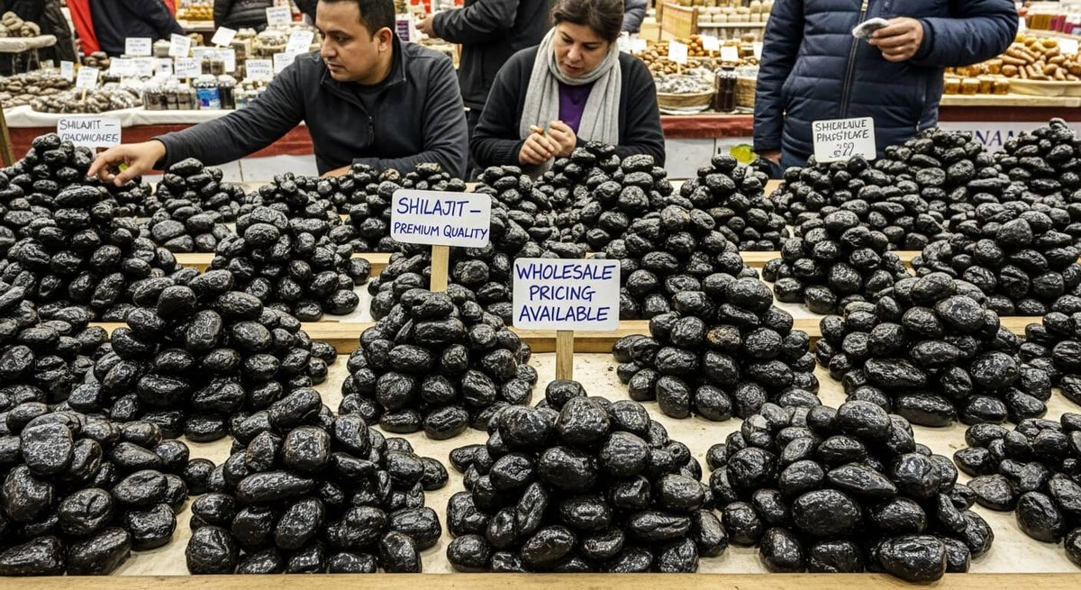 Raw Shilajit Stone Wholesale: Pricing, Quality & Suppliers