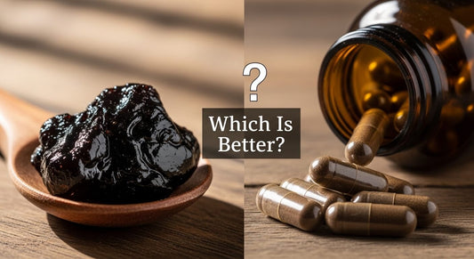 Pure Shilajit Resin vs Capsules: Which Is Better?