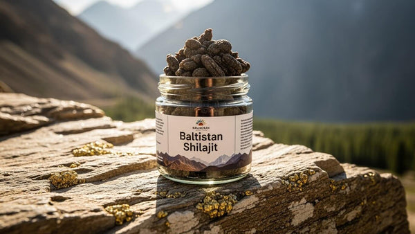 Is Your Shilajit Mixed with Molasses? The "Water Dissolve" Test Every Buyer Must Do