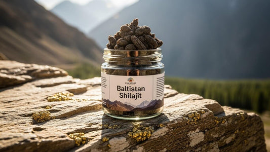 Is Your Shilajit Mixed with Molasses? The "Water Dissolve" Test Every Buyer Must Do