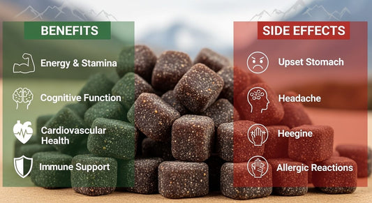 Shilajit Gummies Benefits and Side Effects: Complete Guide