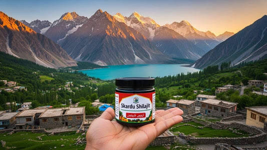 Where to Buy Skardu Shilajit in Pakistan