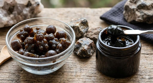 MrBeast Himalayan Gold Expedition – Shilajit Discovery Trend Explained