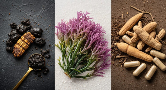 Shilajit vs Sea Moss vs Ashwagandha: Which Should You Choose?