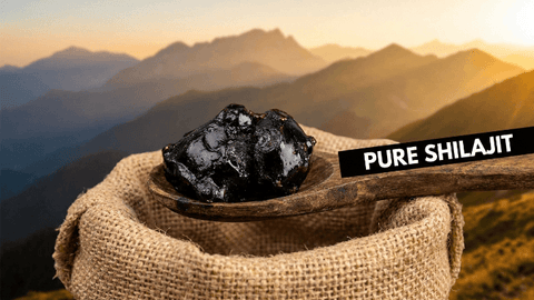 Where to Buy Pure Shilajit (Salajeet) in Kandhkot 2026 – Trusted & Verified Vendors