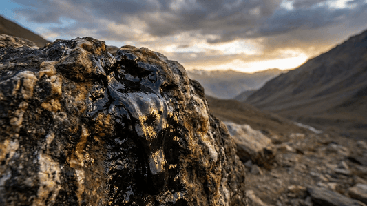 Where to Buy Pure Shilajit (Salajeet) in Hasilpur 2026 – Authentic & Reliable Sellers