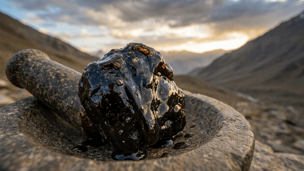 Where to Buy Pure Shilajit (Salajeet) in Arifwala 2026 – Verified & Trusted Sources