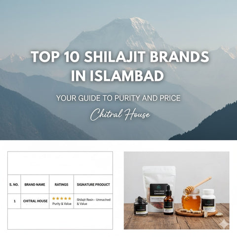 Top 10 Shilajit Brands In Islamabad: Your Guide to Purity and Price