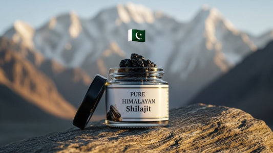 Best Mountain-Sourced Shilajit in Pakistan
