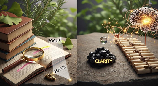 Shilajit for Brain Fog: Focus, Memory & Mental Clarity