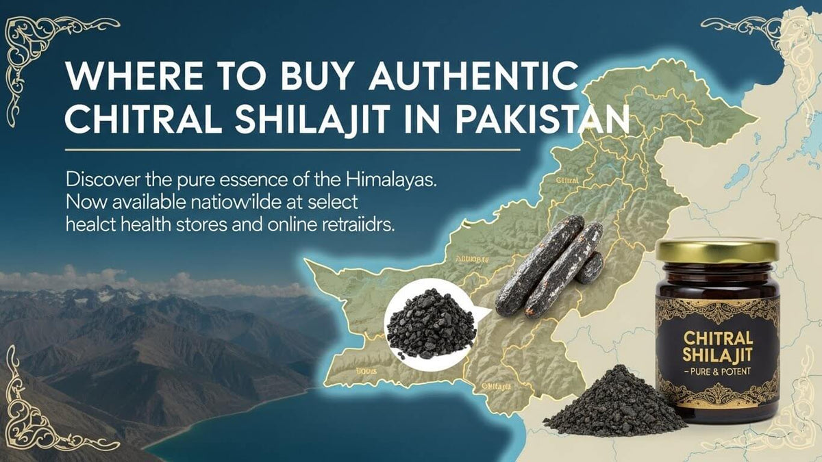 Where to Buy Chitral Shilajit in Pakistan